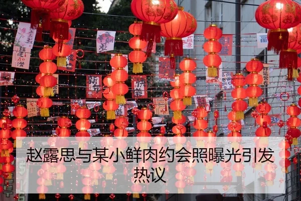 zhao-lu-si-yu-mou-xiao-xian-rou-yue-hui-zhao-bao-guang-yin-fa-re-yi-2-256.jpg