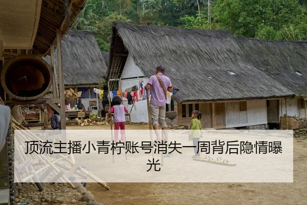 顶流主播小青柠账号消失一周背后隐情曝光